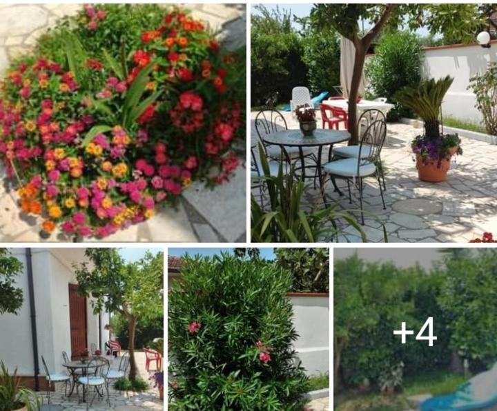 Villa Dafne Mare Fondi Sperlonga ภายนอก รูปภาพ